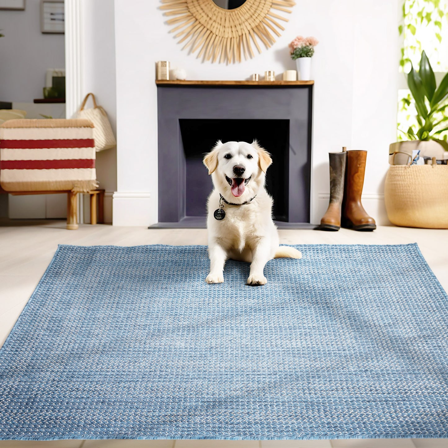 Teppich ZAGORA 4511 Blue